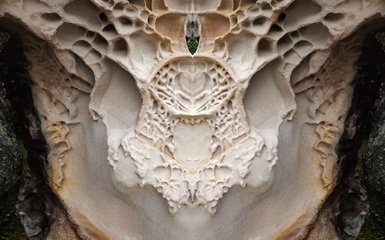 P2123681Kal2.jpg